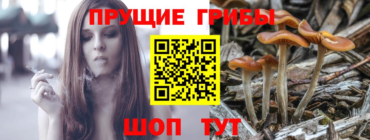 Галлюциногенные грибы мухоморы Томск